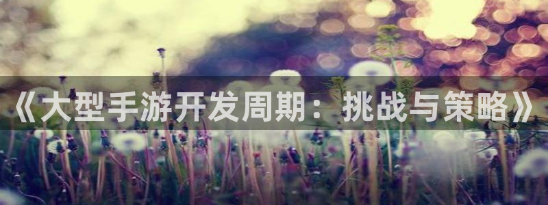 三牛娱乐哪里去了：《大型手游开发周期：挑战与策略》