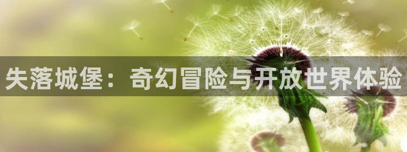 三牛娱乐负责人：失落城堡：奇幻冒险与开放世界体验