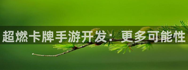 三牛娱乐官网登录入口下载：超燃卡牌手游开发：更多可能性
