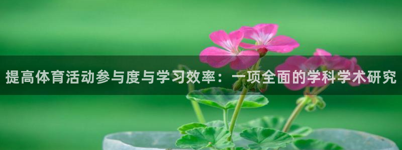 vsport体育在线官网：提高体育活动参与度与学习效率：一项全面的学科学术研究