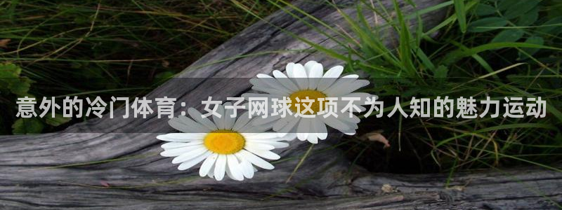 vsport体育在线官网：意外的冷门体育：女子网球这项不为人知的魅力运动