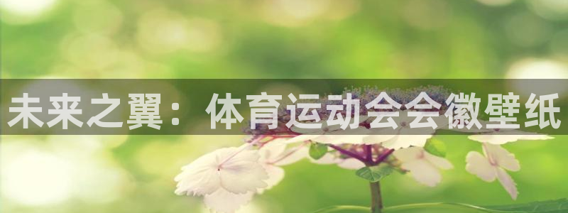 vsport体育：未来之翼：体育运动会会徽壁纸