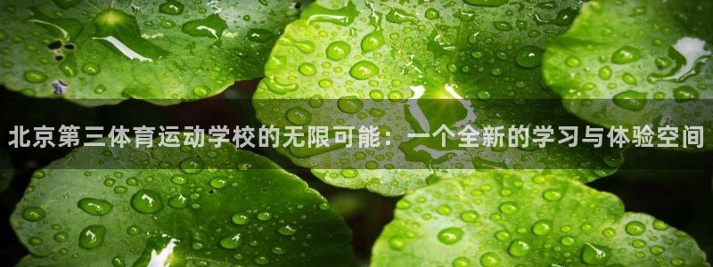 vsport体育在线官网：北京第三体育运动学校的无限可能：一个全新的学习与体验空间