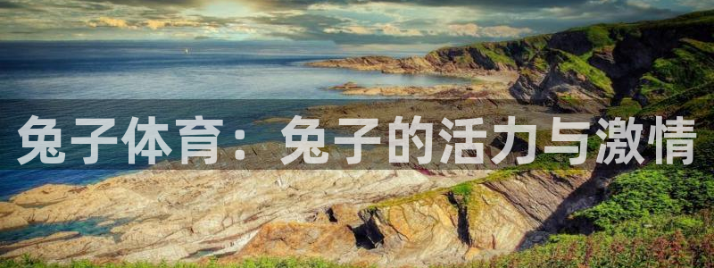 vsport体育在线官网：兔子体育：兔子的活力与激情