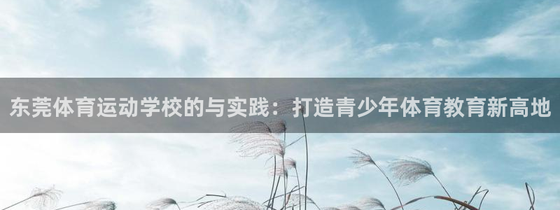 vsport体育：东莞体育运动学校的与实践：打造青少年体育教育新高地