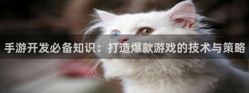 三牛娱乐测速系统app：手游开发必备知识：打造爆款游戏的技术