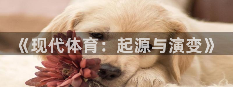 vsport体育在线官网：《现代体育：起源与演变》