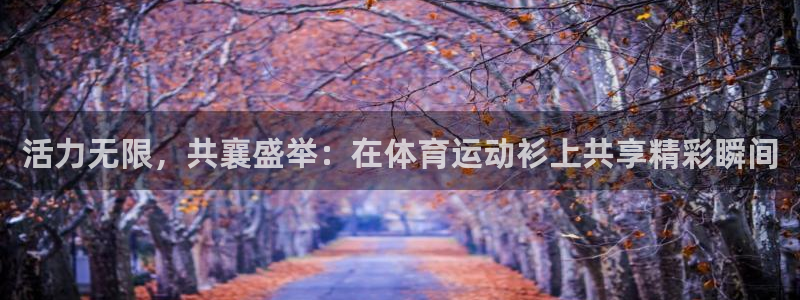 vsport体育：活力无限，共襄盛举：在体育运动衫上共享精彩瞬间